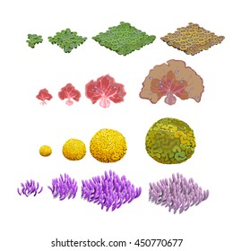 Stages of growth and wilting of coral polyps. Vector illustration.