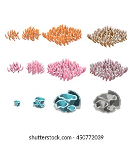 Stages of growth and wilting of coral polyps. Vector illustration.