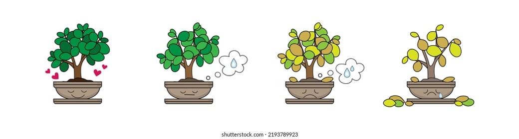 Stages of houseplant wilting without water on white background