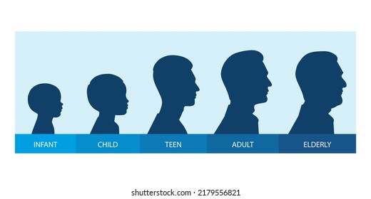 The Stages Of A Man's Growing Up - Infant, Child, Teen, Adult, Elderly. Collection Of Silhouettes Of Men Of Different Ages. Vector Illustration