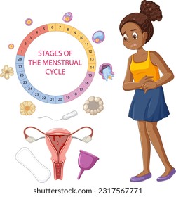 Stages of the Menstrual Cycle Concept illustration