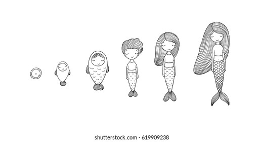 Stages of mermaid development. Beautiful siren. Mythical creature. Marine theme. 
Hand drawing isolated objects on white background. Vector illustration. 
