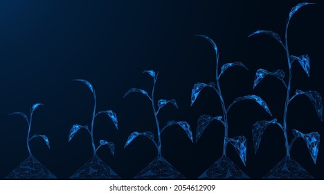 Stages of plant growth. Ecological concept. Polygonal construction of interconnected lines and points. Blue background.