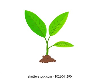 Stages of plant growth. Green sprout grows from the ground. Realistic vector illustration. It symbolizes life and development and ecology.