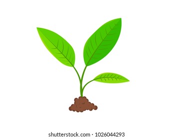 Stages of plant growth. Green sprout grows from the ground. Realistic vector illustration. It symbolizes life and development and ecology.