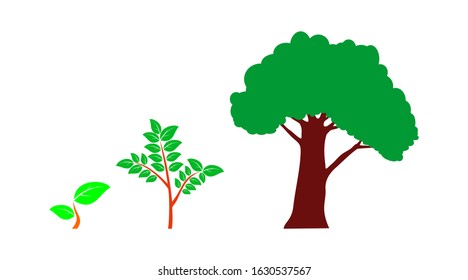 Stages of plant growth. Green sprout grows from the ground. Realistic vector illustration. It symbolizes life and development and ecology.