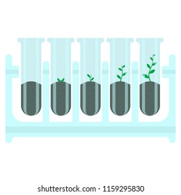 Stages of plant growth in test-tube. Vector illustration on white background