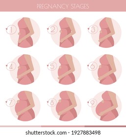 Stages of pregnancy - 9 months. Hand drawn flat vector illustrations. Pregnancy, motherhood  concept. pregnant woman awaiting baby, steps concept. Pregnant belly.