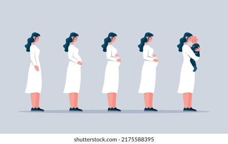 Stages pregnancy concept. Mother waiting for baby, passage of time. Change in female body from conception to appearance of kid. Pregnancy week after week, calendar. Cartoon flat vector illustration