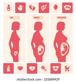 stages of pregnancy and icons set