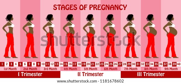 Stages Pregnancy Pregnant Dreadlocks Hair Black Stock Vector