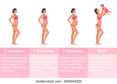 Etapas del embarazo. Mujeres embarazadas. Cambios en el cuerpo de la mujer durante el embarazo. Trimesters hembra. Elementos infográficos. Diseño plano de ilustración vectorial. Aislado sobre fondo blanco.