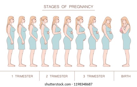 Stages of pregnancy, trimester and birth. Silhouette of a pregnant woman in profile. Blonde woman.