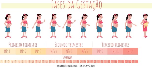 Stages of Pregnancy - woman's belly growing month by month - Portuguese language