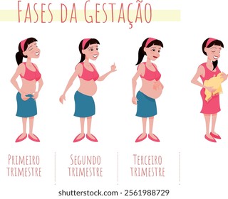 Stages of Pregnancy - woman's belly growingby trimester - Portuguese language