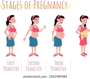 Stages of Pregnancy - woman's belly growingby trimester