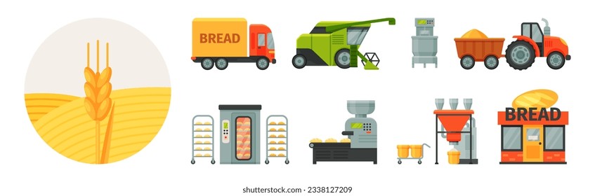 Stages of Production of Bread from Harvest to Baking Vector Set