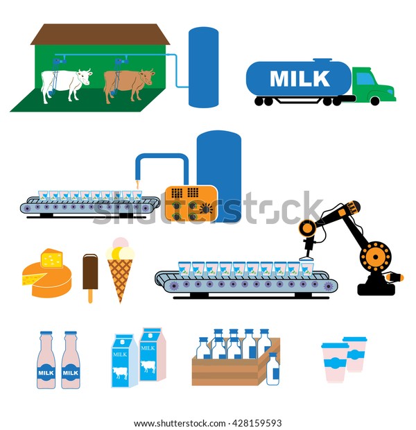 Stages Production Processing Milk Dairy Farm Stock Vector (royalty Free 