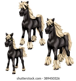 Stages of puberty black elite horses. Animals isolated on a white background. Vector illustration.