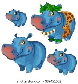 Stages of puberty blue Hippo. Animals isolated on a white background. Vector illustration.