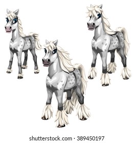 Stages of puberty gray horse. Animals isolated on a white background. Vector illustration.