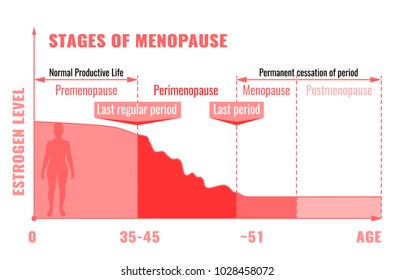 Stages and symptoms of menopause. Estrogen level average percentage from the birth to the age of eighty years. Medical infographic useful for an educational poster graphic design. Vector illustration.