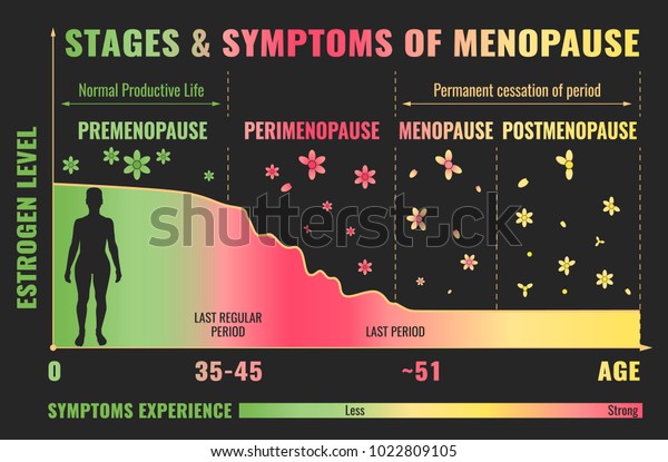 Stages Symptoms Menopause Estrogen Level Average Stock Vector Royalty Free