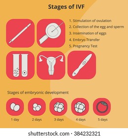 Stages in vitro fertilization. Infographics process. Icons. Stages of formation of the embryo