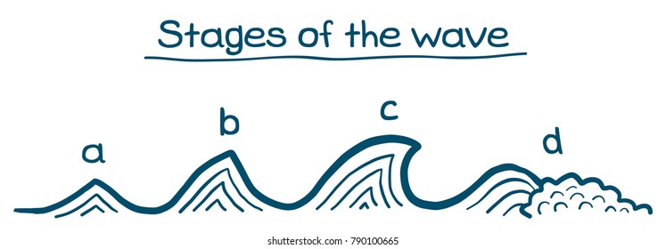 Stages of the waves, surfing theory. Vector hand drawn doodle image.