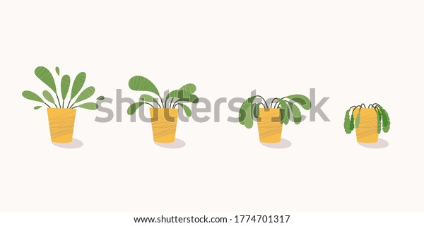 Stages of withering, a wilted plant in a\
pot, abandoned houseplant without watering and care. Potted plant\
dying. Vector\
illustration
