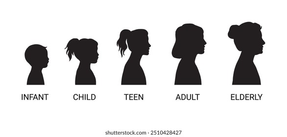 Icono de la mujer de las etapas que crece. Niña, bebé, niño, adolescente, adulto Mujeres y ancianos. Silueta de mujeres de diferentes edades de Colección aislada. Ilustración vectorial