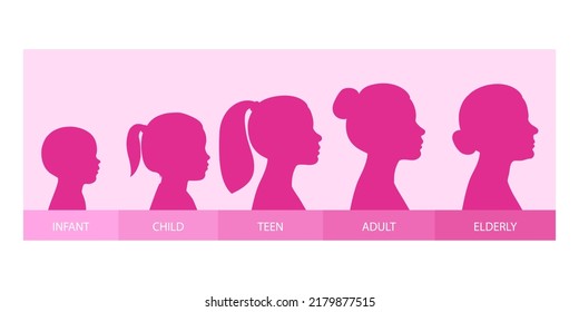 The Stages Of A Woman's Growing Up - Infant, Child, Teen, Adult, Elderly. Collection Of Silhouettes Of Women Of Different Ages. Vector Illustration