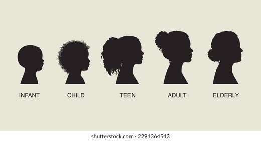 The stages of a woman's growing up - infant, child, teen, adult, elderly. Collection of silhouettes of women of different ages. Vector illustration 