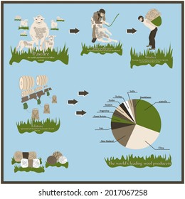 Stages of wool production. Sheep shearing, wool delivery, filature, yarn dressing, sale, knitting.