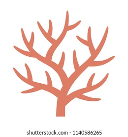 Staghorn branching coral in coral reef flat vector color icon for marine life apps and websites