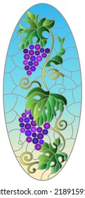 Stained glass illustration with a branch of grapes, berries and leaves on a blue background , oval image