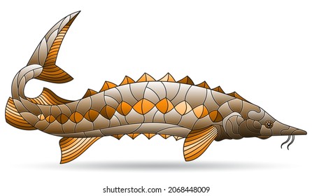 Stained glass illustration with a brown sturgeon fish, an animal isolated on a white background