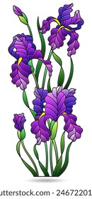 Stained glass illustration with composition of iris flowers, isolated on a white background