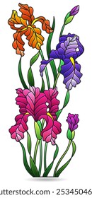 Stained glass illustration with composition of iris flowers, isolated on a white background