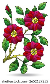 Ilustração de vidro manchado com arranjo floral, flores isoladas em um fundo branco