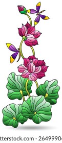 Ilustração de vitral com flores, folhas de flor de lótus e libélulas, isoladas em um fundo branco