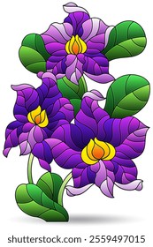 Stained glass illustration with orchid flowers , flowers isolated on a white background