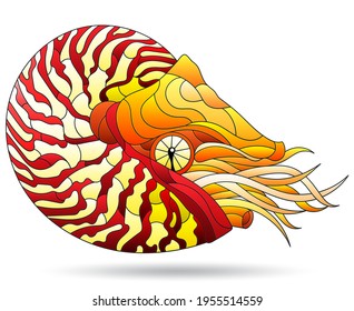 A stained glass-style illustration with a bright nautilus clam, an animal, isolated on a white background