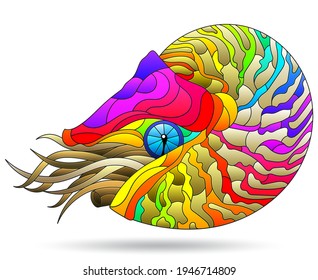 A stained glass-style illustration with a bright rainbow nautilus clam, an animal, isolated on a white background