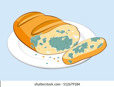 Stale moldy food. Inedible moldy piece of bread on plate. Isolated vector illustration