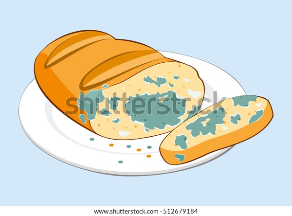 Stale moldy food. Inedible moldy piece of\
bread on plate. Isolated vector\
illustration
