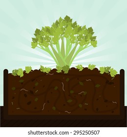 Stalk of celery and compost. Composting process with organic matter, microorganisms and earthworms. Fallen leaves on the ground.