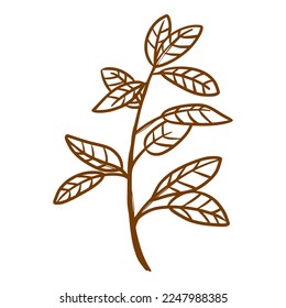 stalk of lemon tree with lush leaves doodle hand drawn style illustration