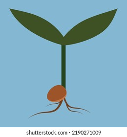 stalk on a blue background