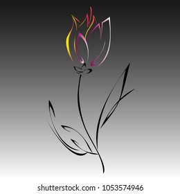 stalk of a tulip with colored petals on a gray background